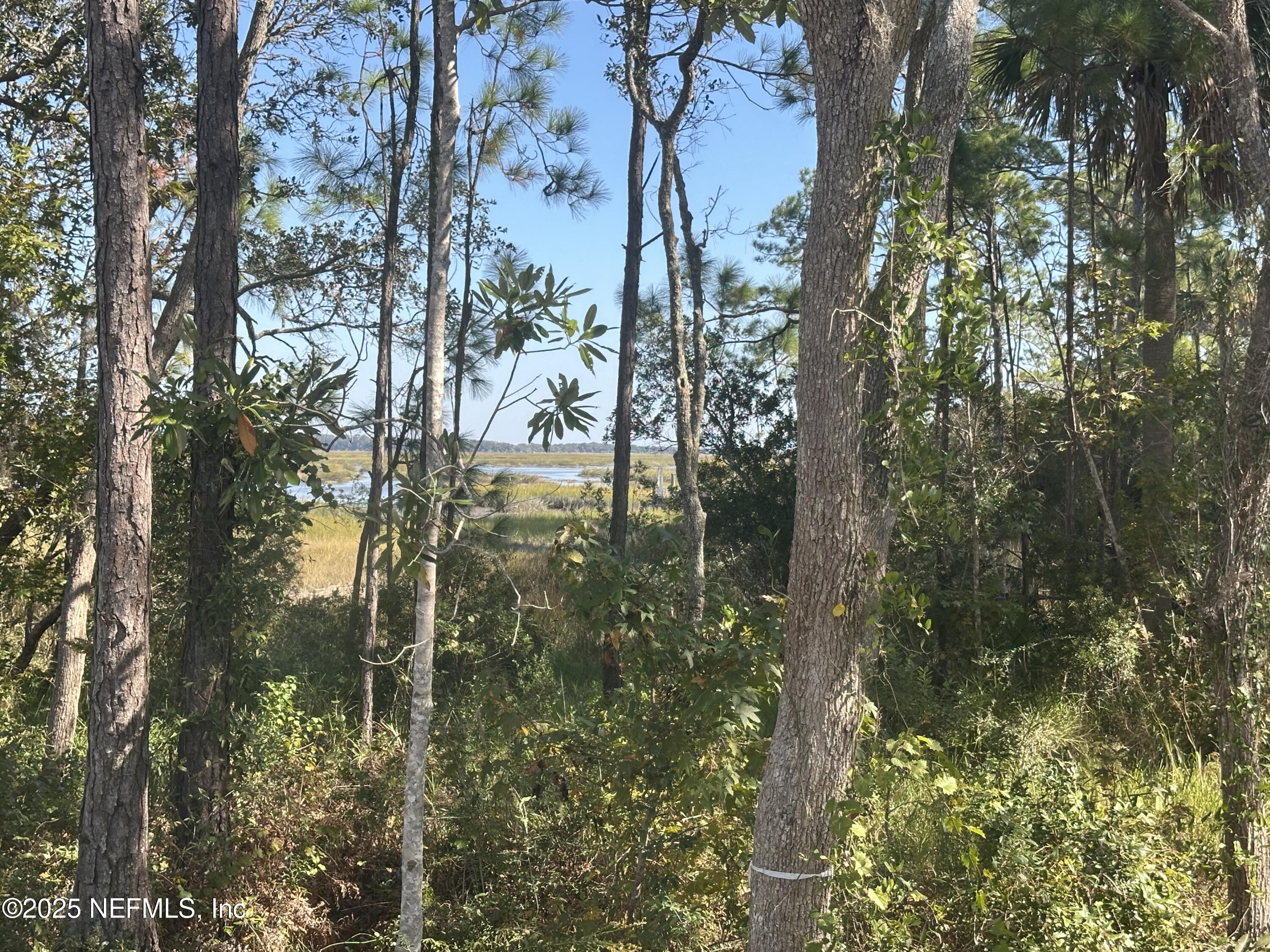 118 Historic Brick Lane St. Augustine, FL 32095 - Photo 4 of 36 Intracoastal view