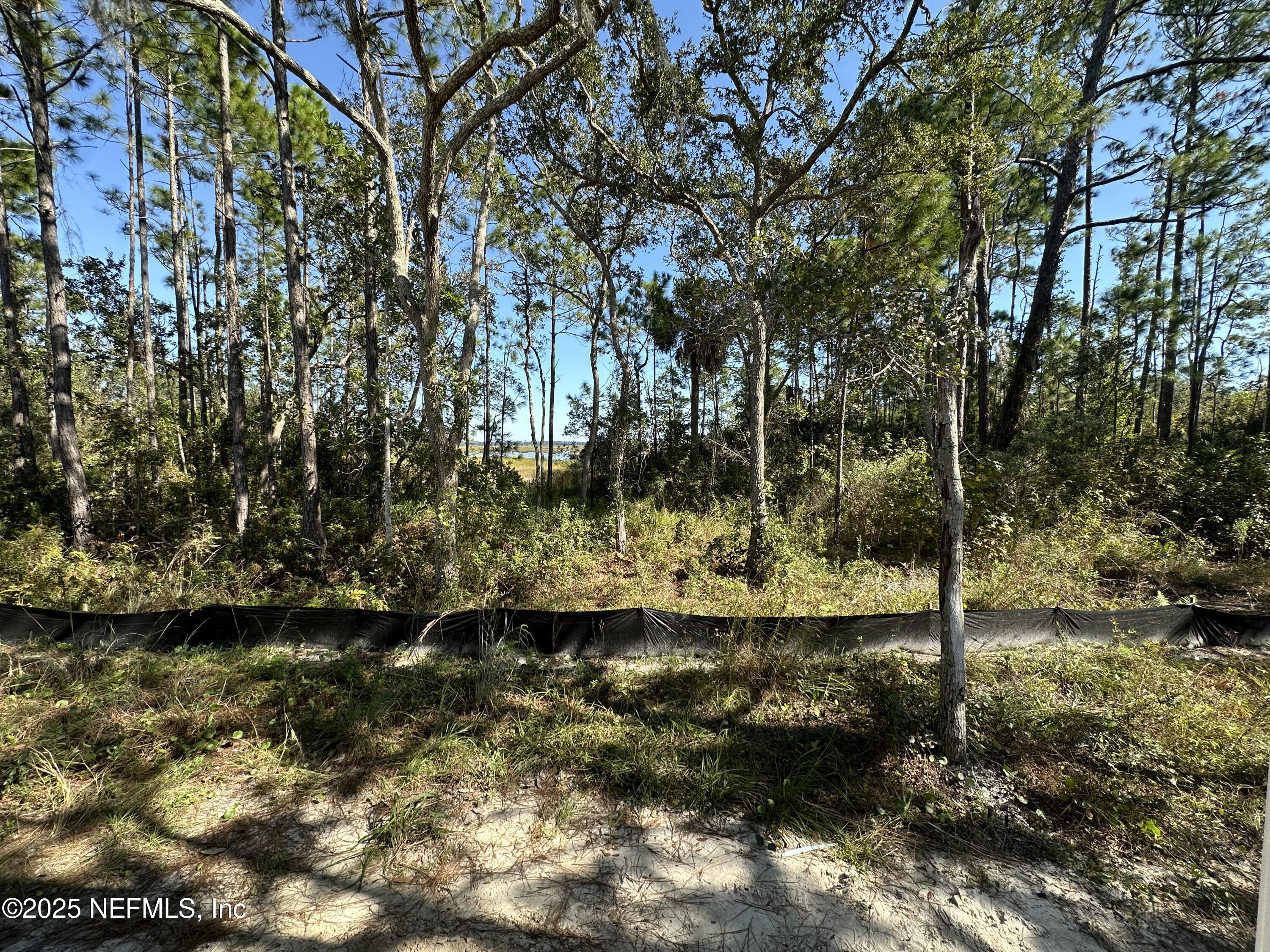 118 Historic Brick Lane St. Augustine, FL 32095 - Photo 5 of 36 a backyard of a house with lots of green space
