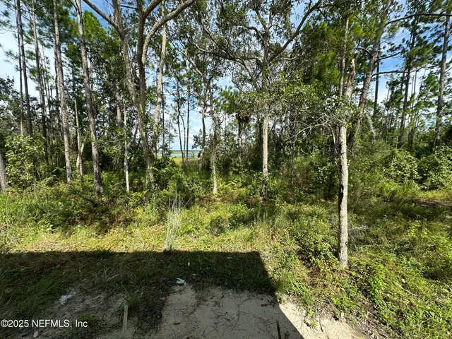 a view of a room with wooden walls