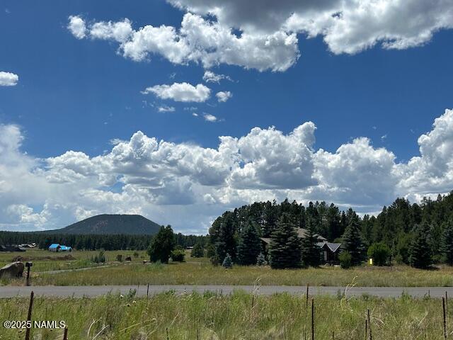 9250 North Snow Bowl Ranch Road Flagstaff, AZ 86001 - Photo 14 of 16 South View