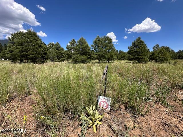9250 North Snow Bowl Ranch Road Flagstaff, AZ 86001 - Photo 4 of 16 Lot 12