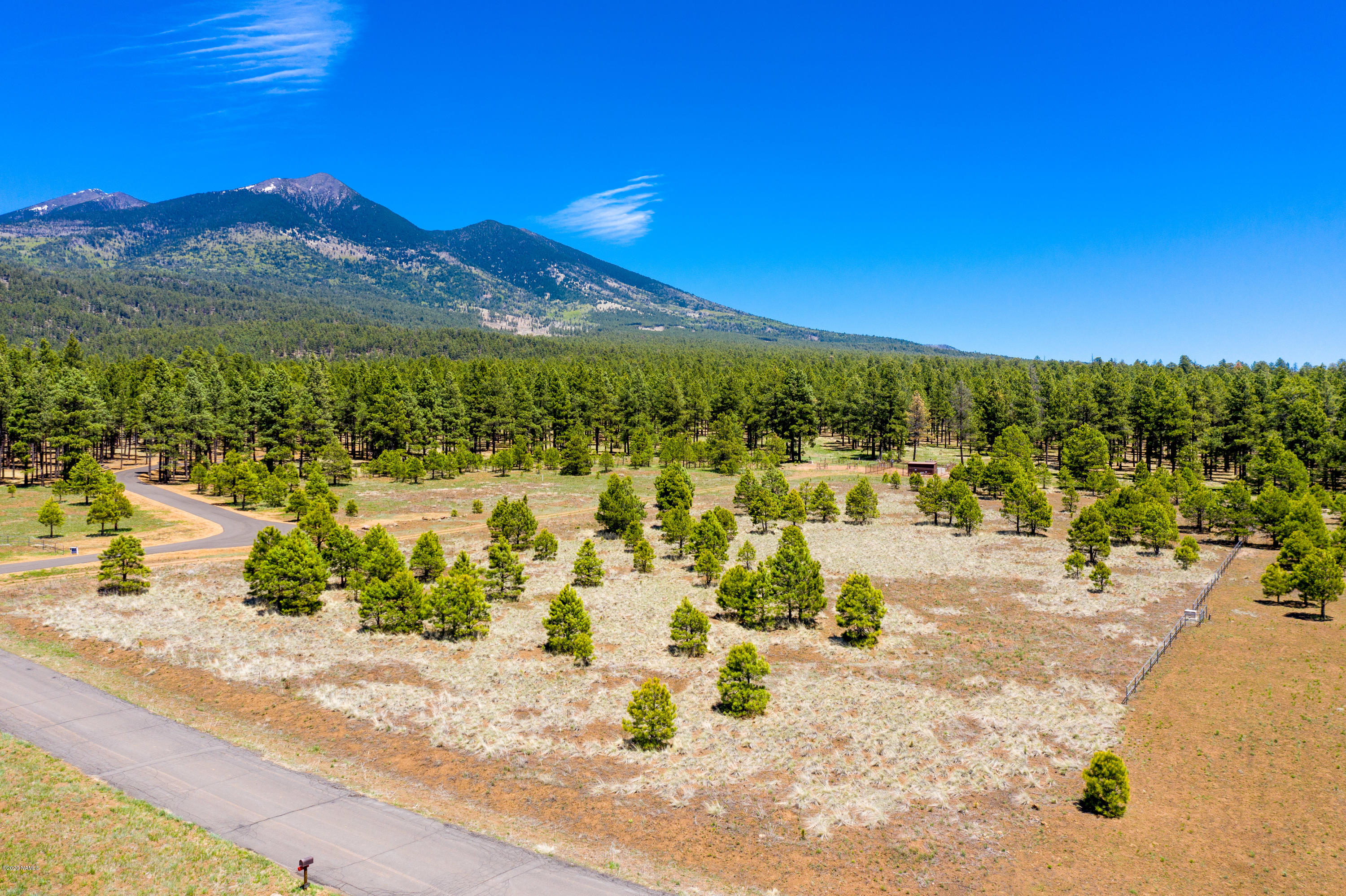 9250 North Snow Bowl Ranch Road Flagstaff, AZ 86001 - Photo 8 of 16 Easy Lot to Build On