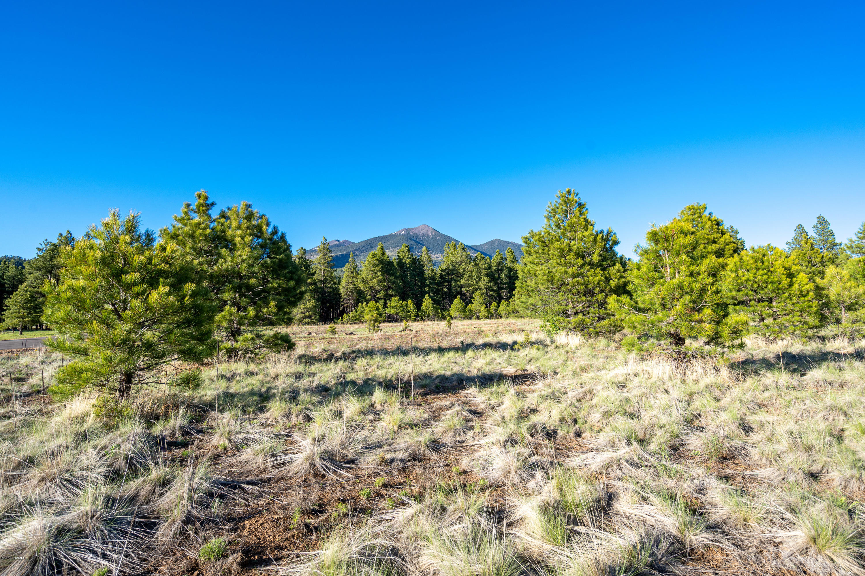 9250 North Snow Bowl Ranch Road Flagstaff, AZ 86001 - Photo 9 of 16 A Peaceful Setting