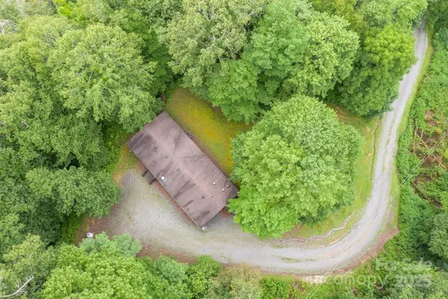 a view of a garden in a yard