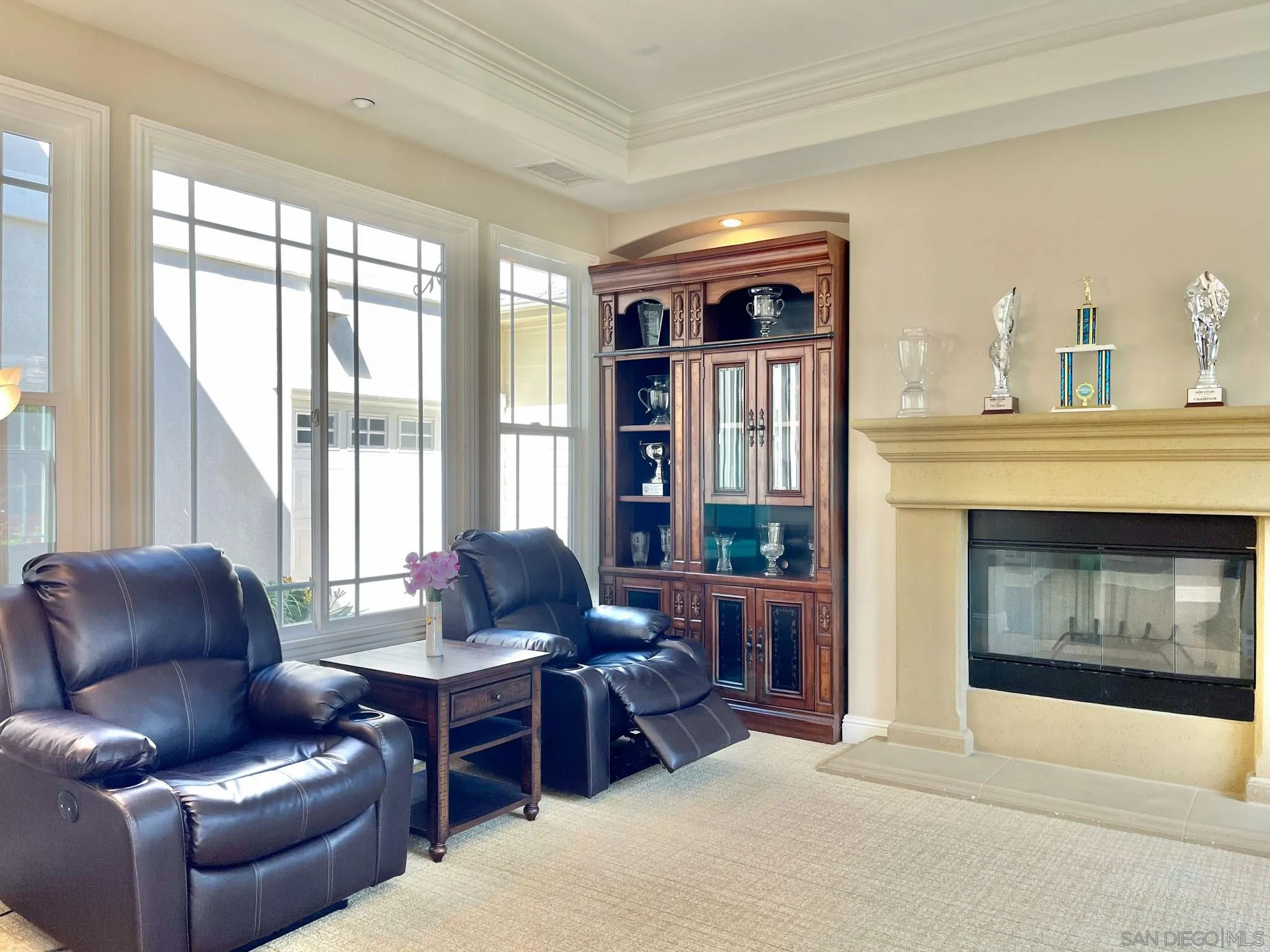 694 Cypress Hills Drive Encinitas, CA 92024 - Photo 12 of 49 a living room with furniture and a fireplace
