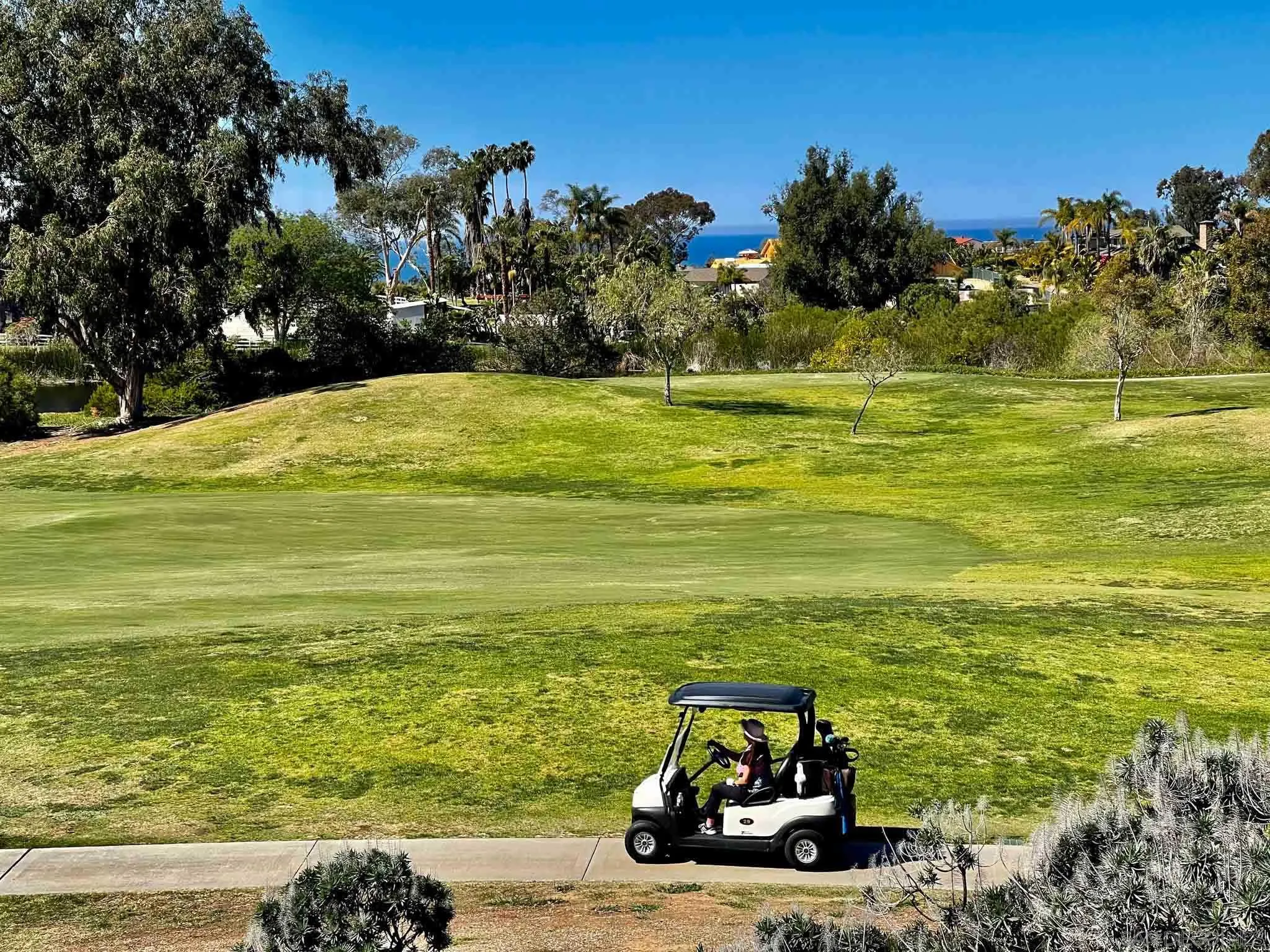 694 Cypress Hills Drive Encinitas, CA 92024 - Photo 45 of 49 a car parked on the side of the ocean