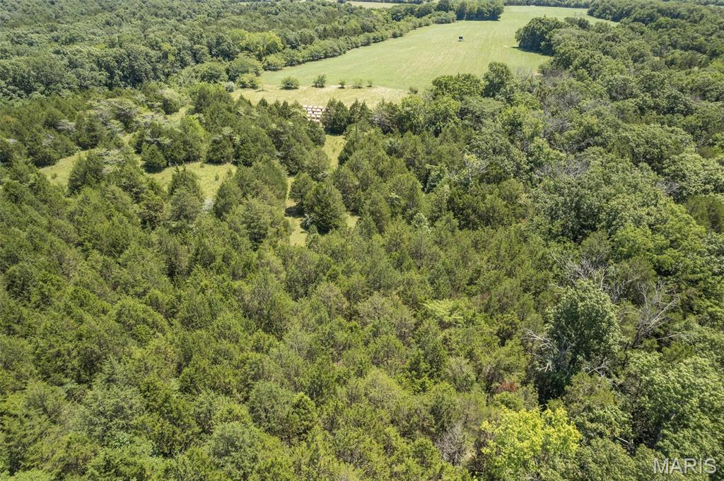 1175 3 Rivers Road Bonne Terre, MO 63628 - Photo 25 of 32 Gallery Image 25
