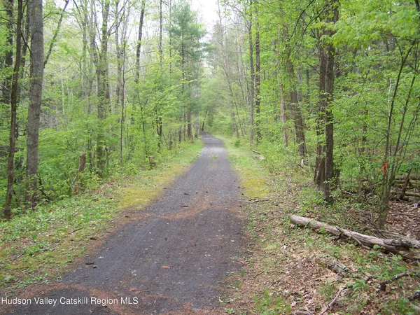 $225,000 | Tbd Heinle Road, Kingston, NY 12401
