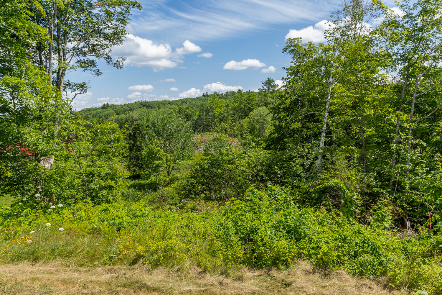 333 North Raymond Road New Gloucester, ME 04260 - Photo 40 of 45 20190724rf-73060