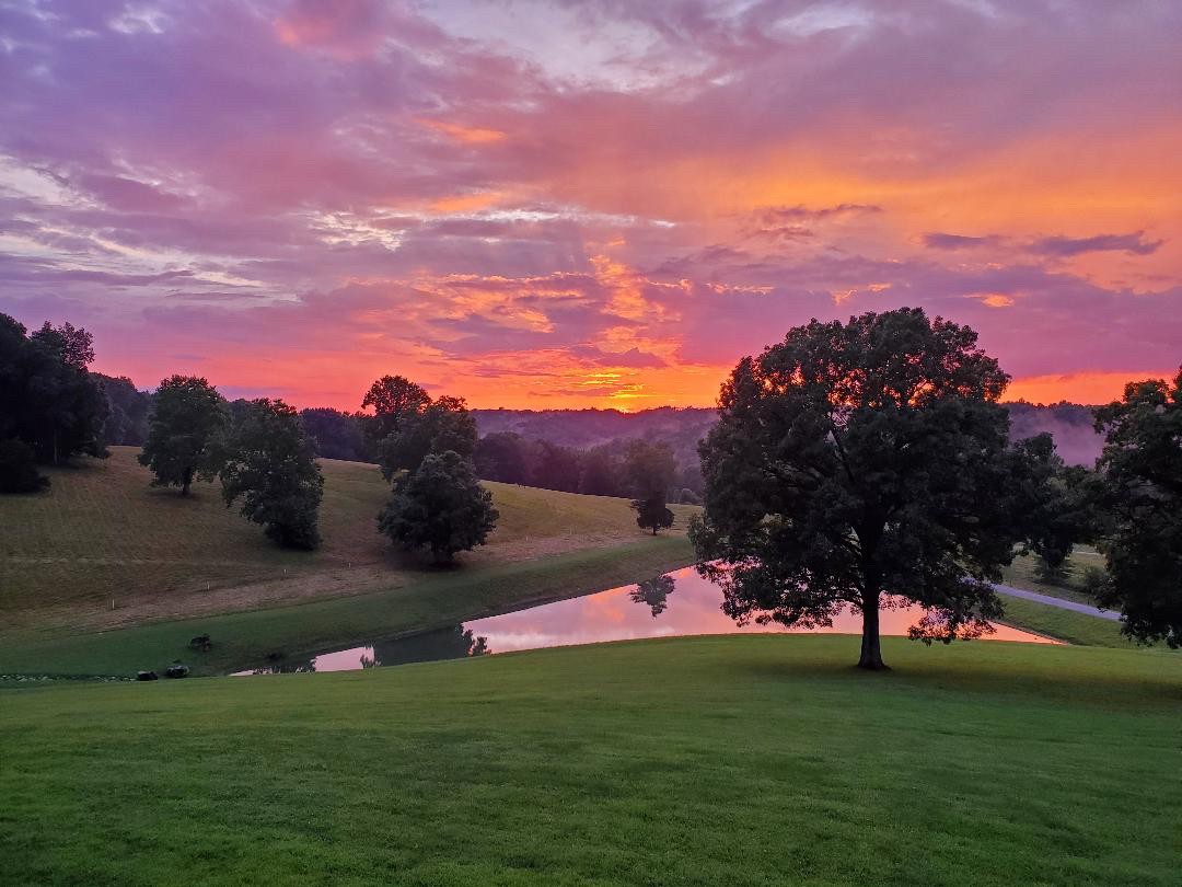 2682 Maple Grove Road Dickson, TN 37055 - Photo 5 of 50 a view of a town with large trees