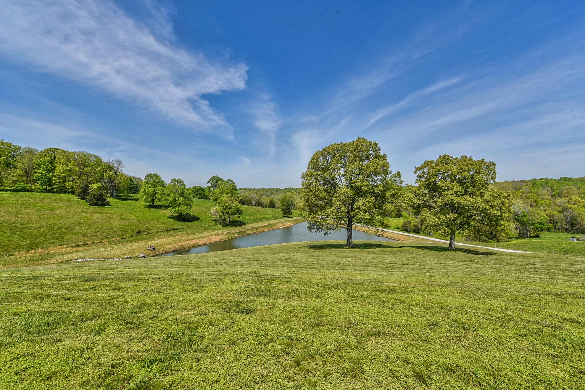 2682 Maple Grove Road Dickson, TN 37055 - Photo 9 of 50 a view of a large yard