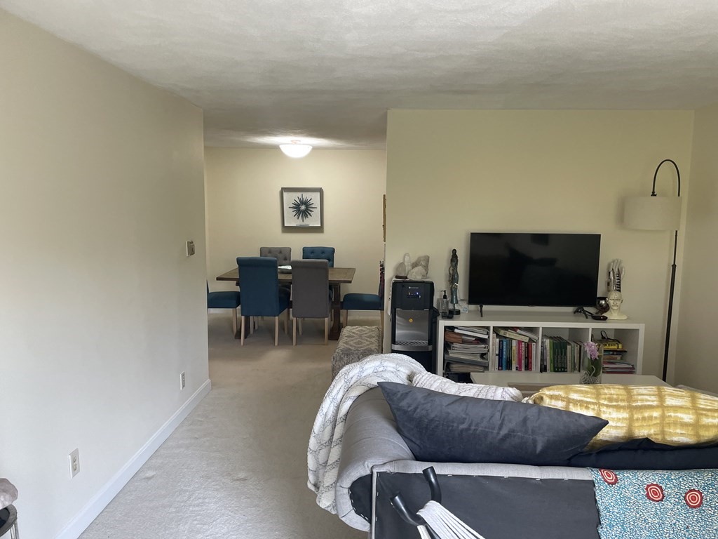 205 Great Road, Unit C8 Acton, MA 01720 - Photo 13 of 34 a living room with furniture and a flat screen tv