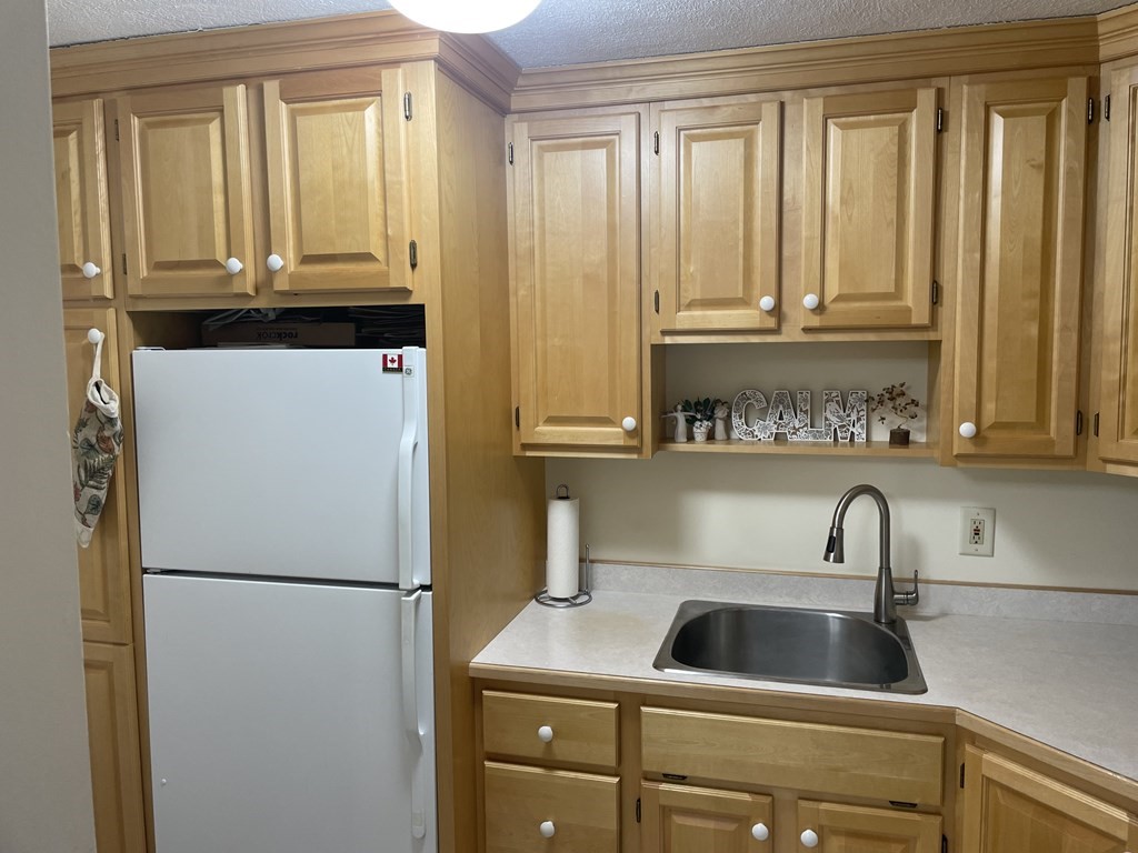 205 Great Road, Unit C8 Acton, MA 01720 - Photo 22 of 34 a close view of a sink and a refrigerator