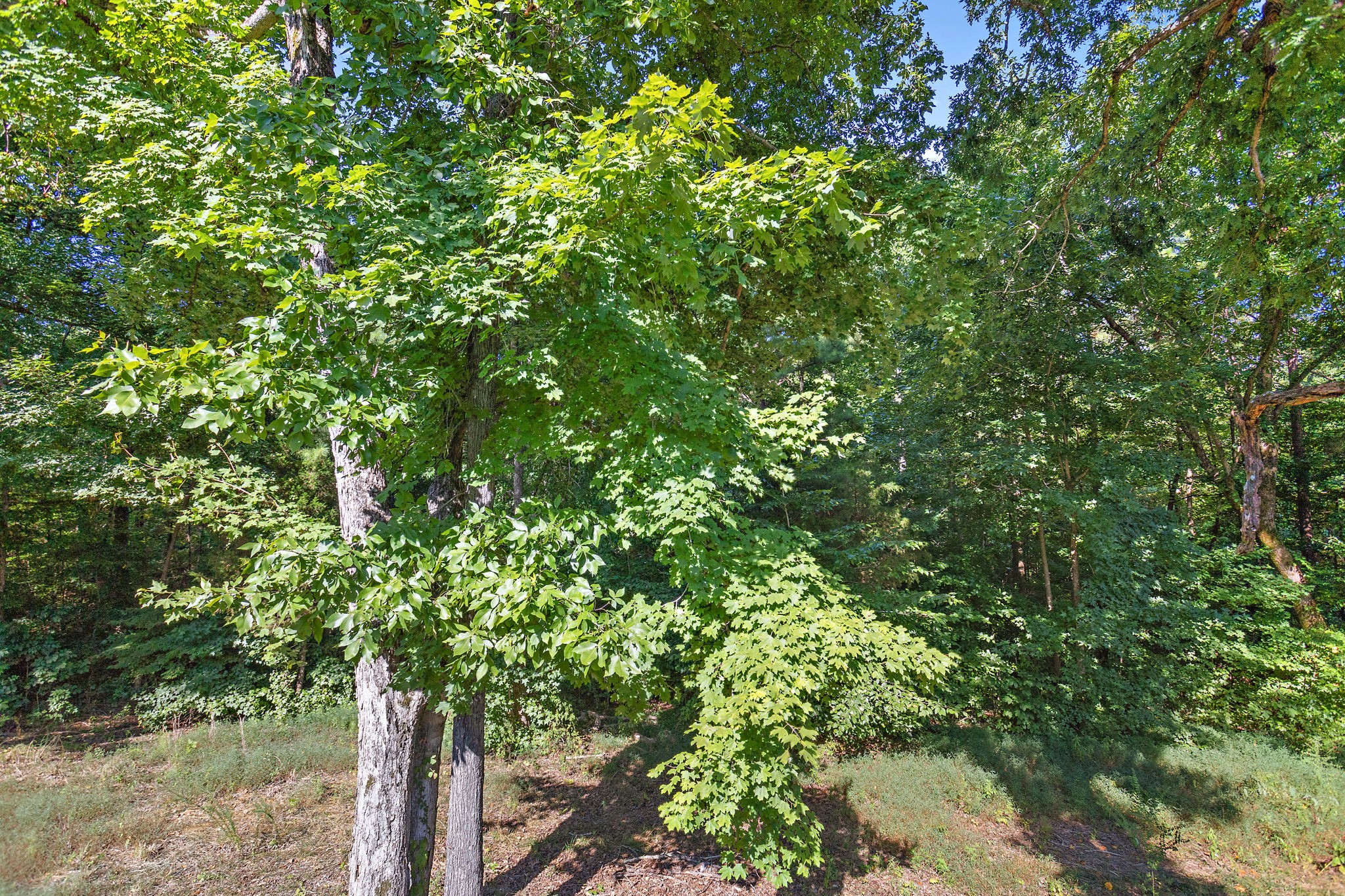 638 Hillview Road North Dickson, TN 37055 - Photo 33 of 39 Gallery Image 33