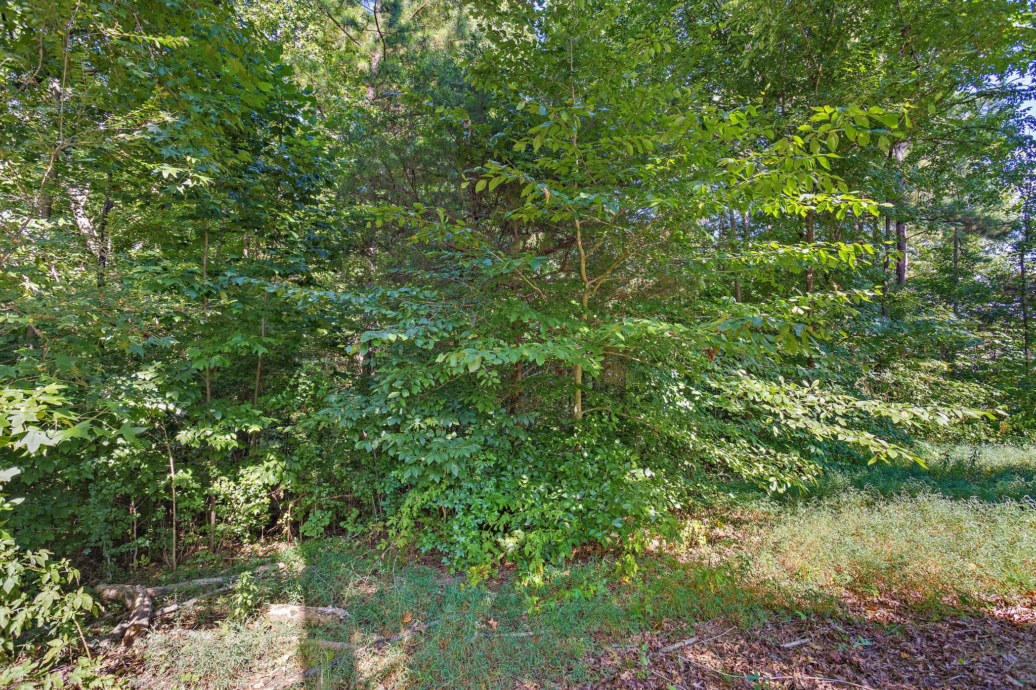 638 Hillview Road North Dickson, TN 37055 - Photo 34 of 39 Gallery Image 34