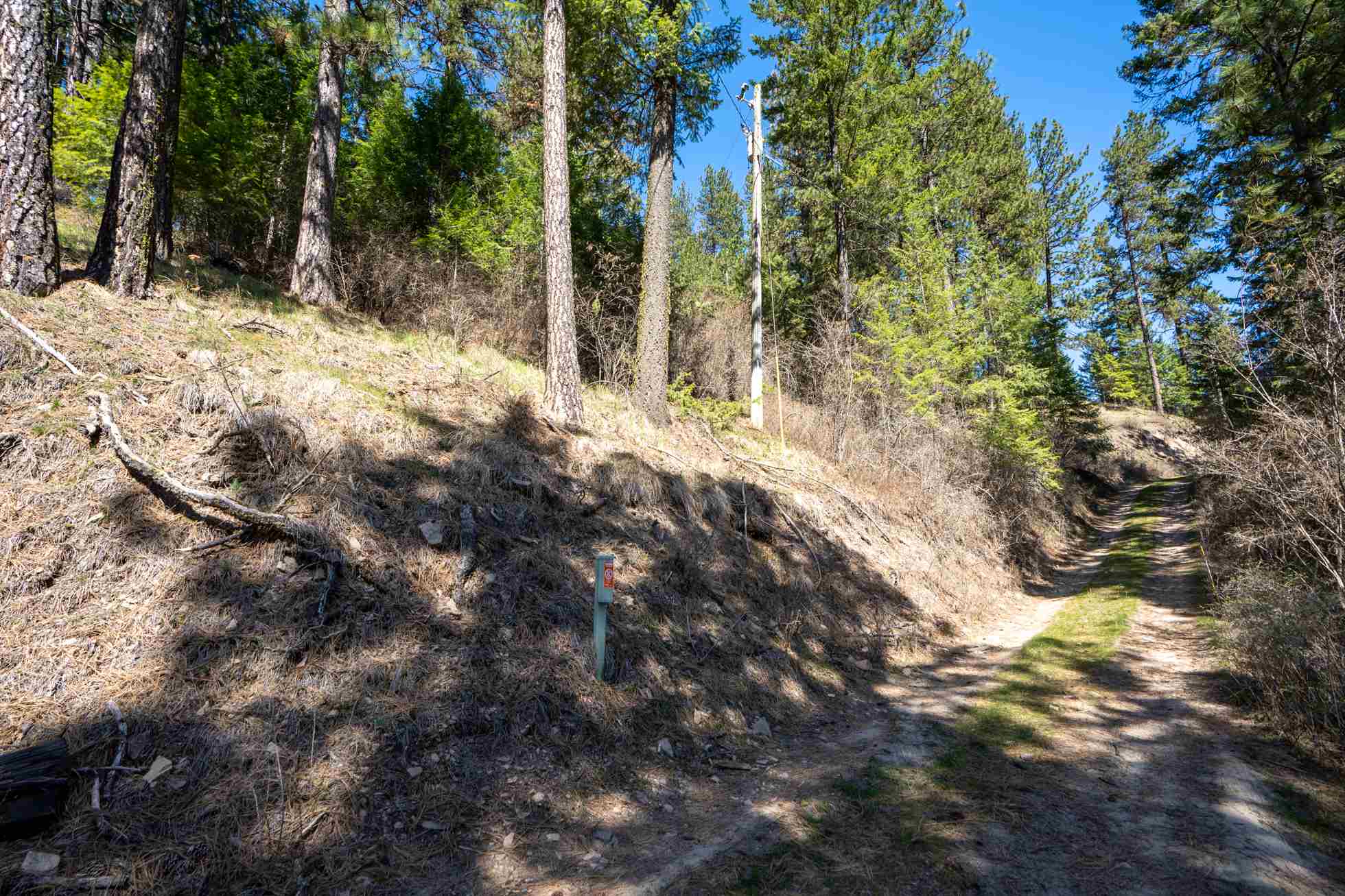 3959 North Deer Lake Road Loon Lake, WA 99148 - Photo 21 of 32 Gallery Image 21