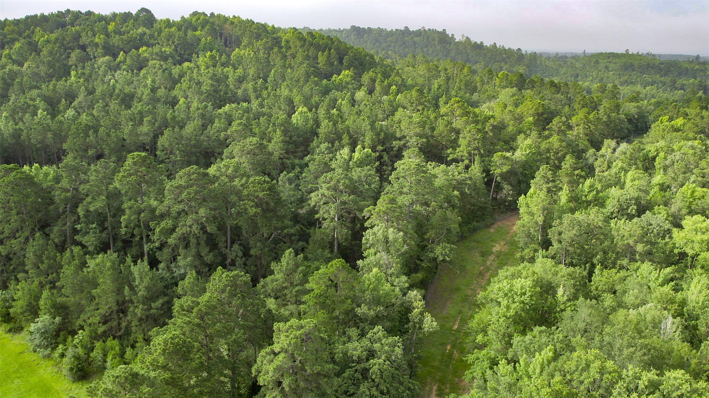 1320 County Road 2112 Rusk, TX 75785 - Photo 29 of 50 a view of a lush green forest with trees and some houses