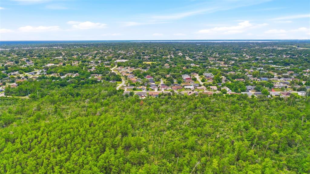 Wolverine (paper) Avenue Deltona, FL 32725 - Photo 9 of 24