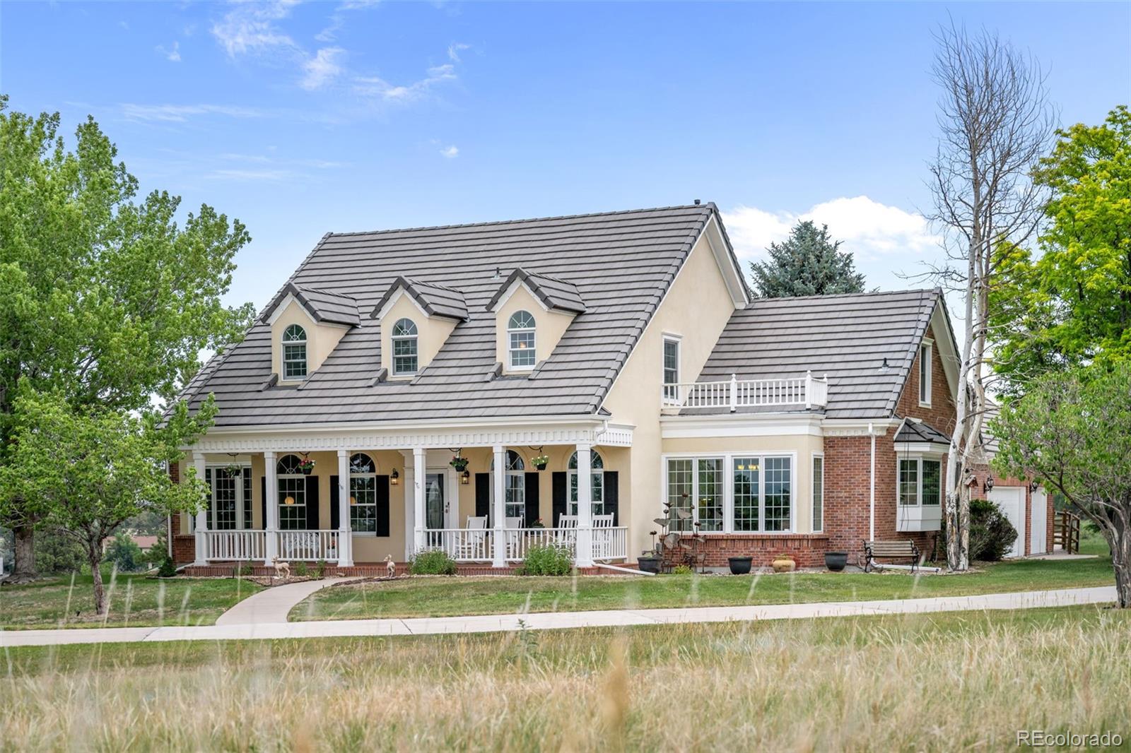8634 Selly Road Parker, CO 80134 - Photo 4 of 50