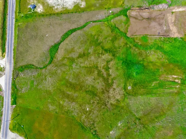 a view of a big yard with grass and wooden fence