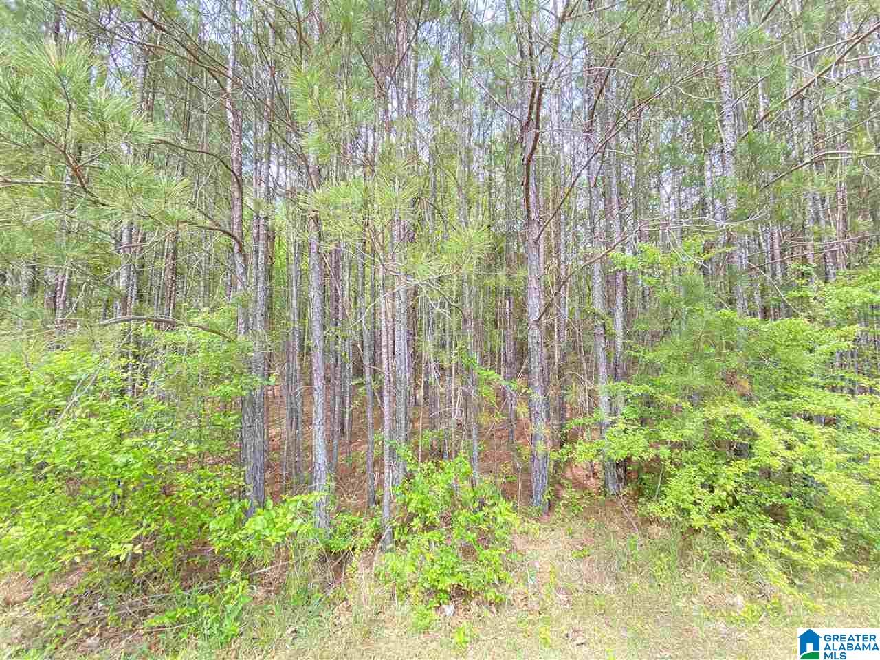 320 Clearview, Unit 38 Odenville, AL 35120 - Photo 1 of 3