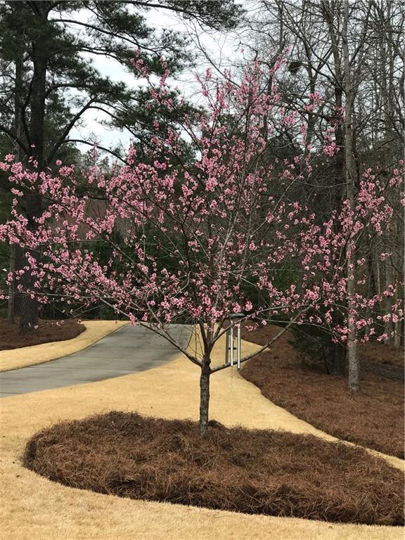 27 Retreat Ridge Southeast Cartersville, GA 30120 - Photo 17 of 141