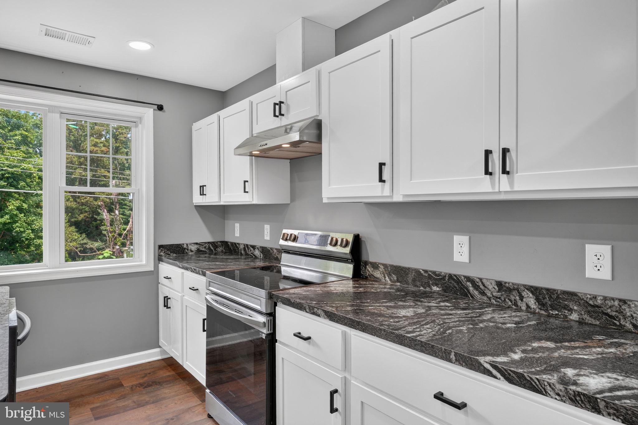 2042 Conowingo Road Rising Sun, MD 21911 - Photo 8 of 38 Great Counter Space