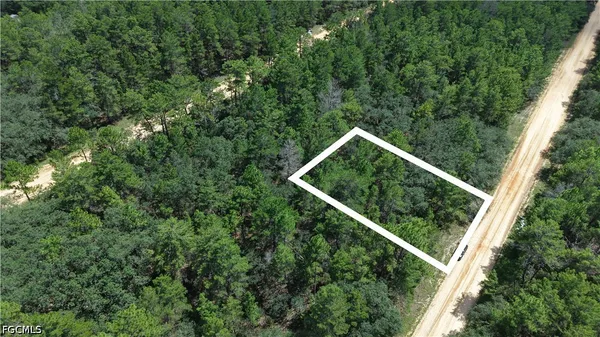 $8,950 | Neilsen Avenue, Interlachen, FL 32148