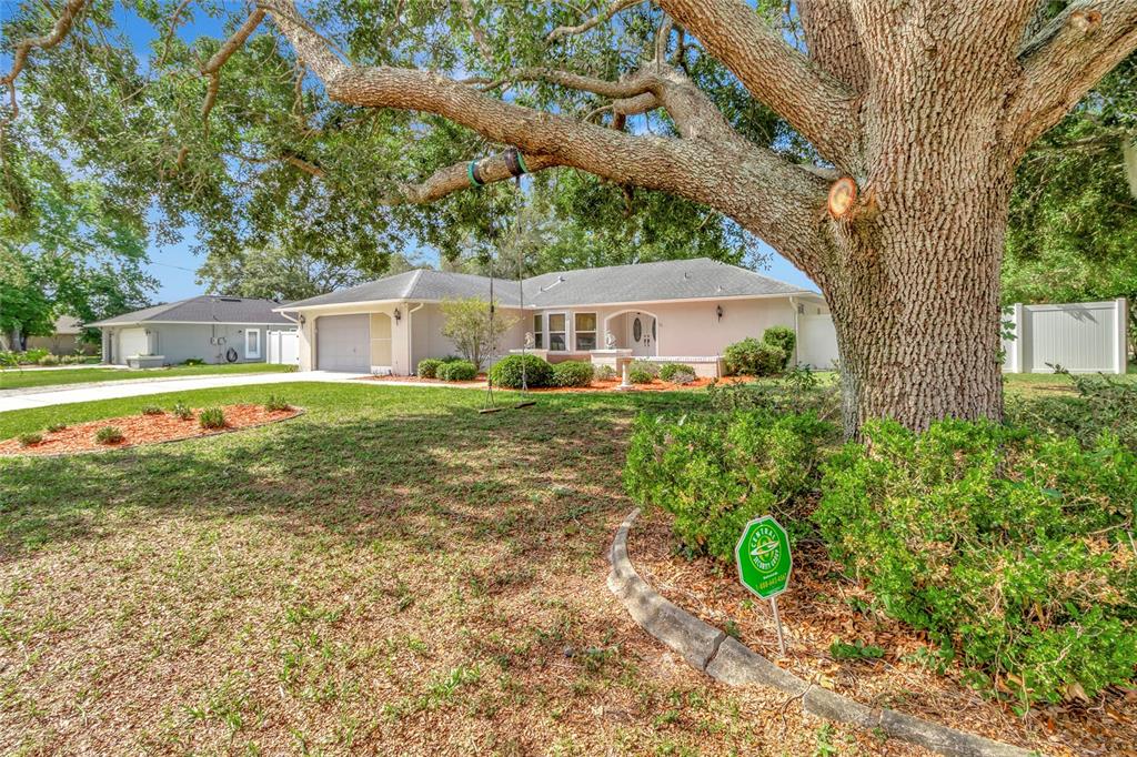 10412 Avila Street Spring Hill, FL 34608 - Photo 39 of 41