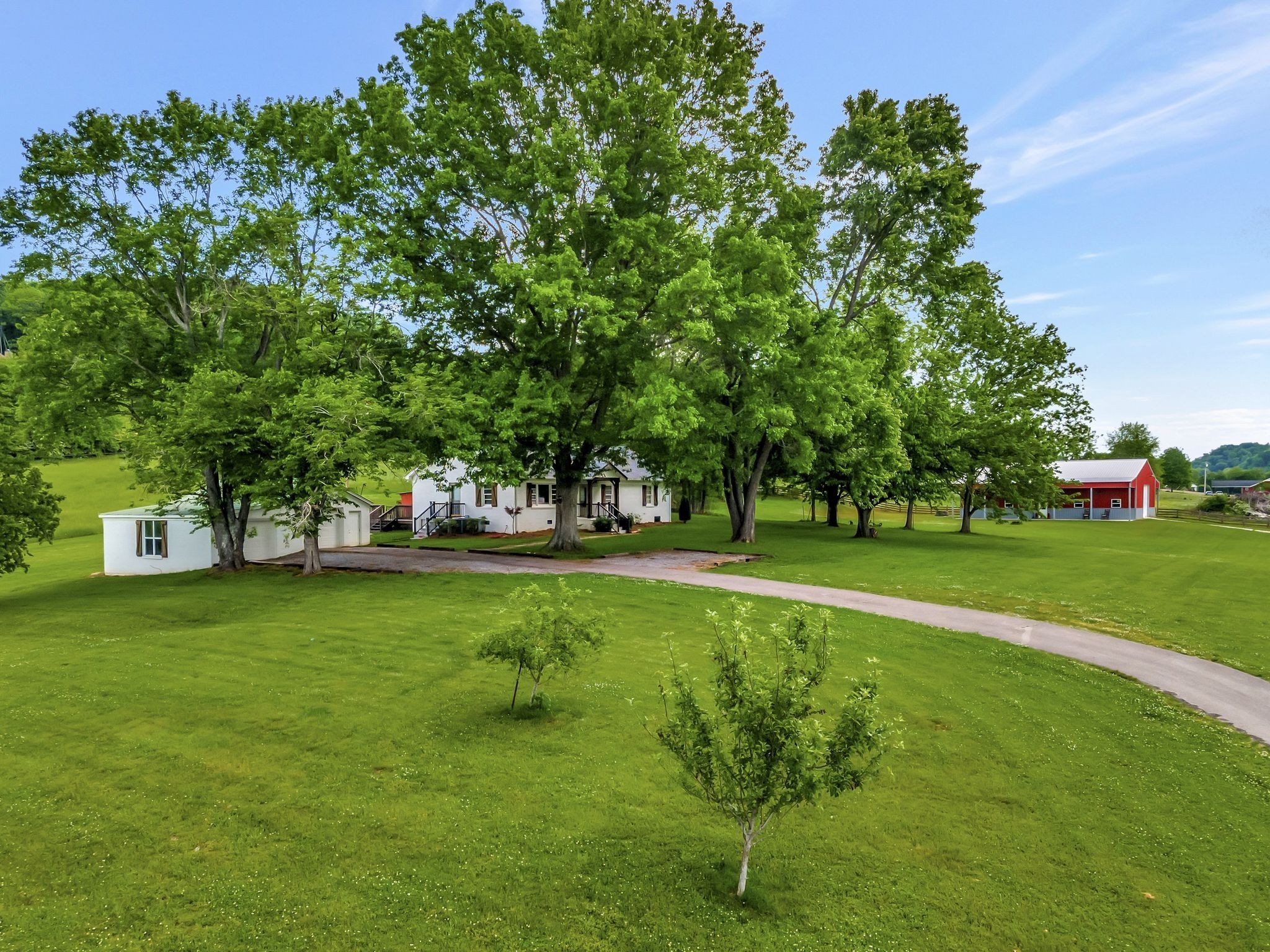 a garden view with a fountain