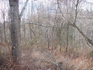 0 Bellwood Road Raven, VA 24639 - Photo 1 of 1 Gallery Image 1
