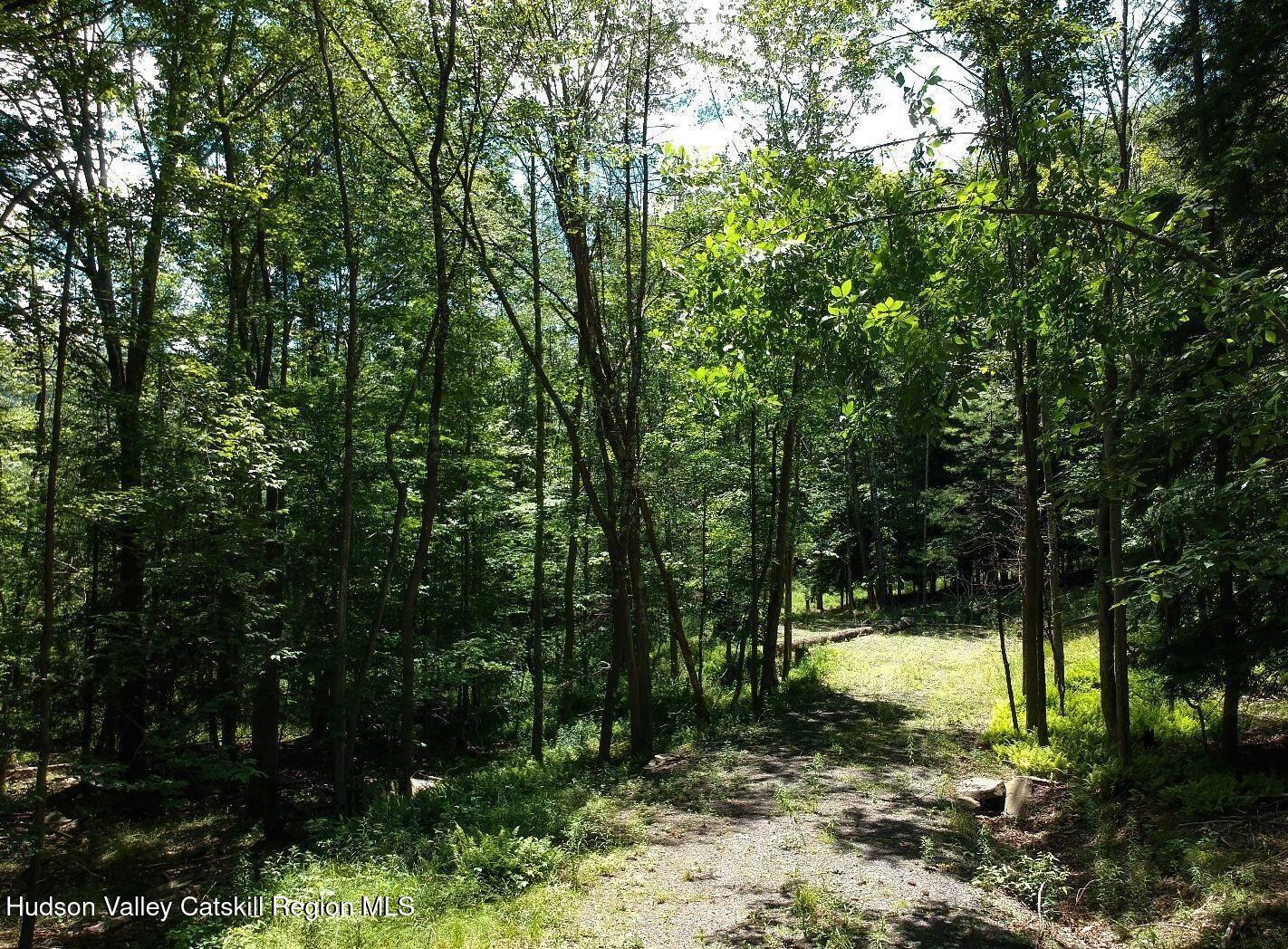 98 Norwegian Road Prattsville, NY 12468 - Photo 6 of 13 11401415-shr49dSg3qdbtDbL