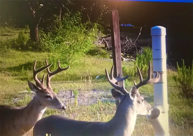 $650,000 | 2301-2401 Fm 2165, Rockport, TX 78382