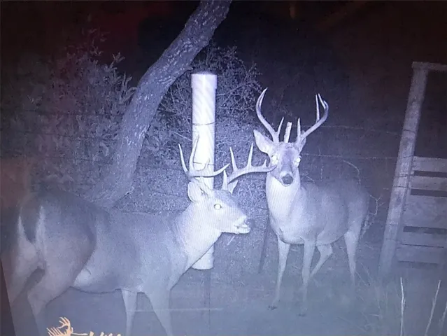 $650,000 | 2301-2401 Fm 2165, Rockport, TX 78382