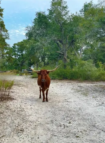 $650,000 | 2301-2401 Fm 2165, Rockport, TX 78382