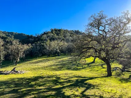 $995,000 | 22 Arroyo Sequoia, Carmel, CA 93923