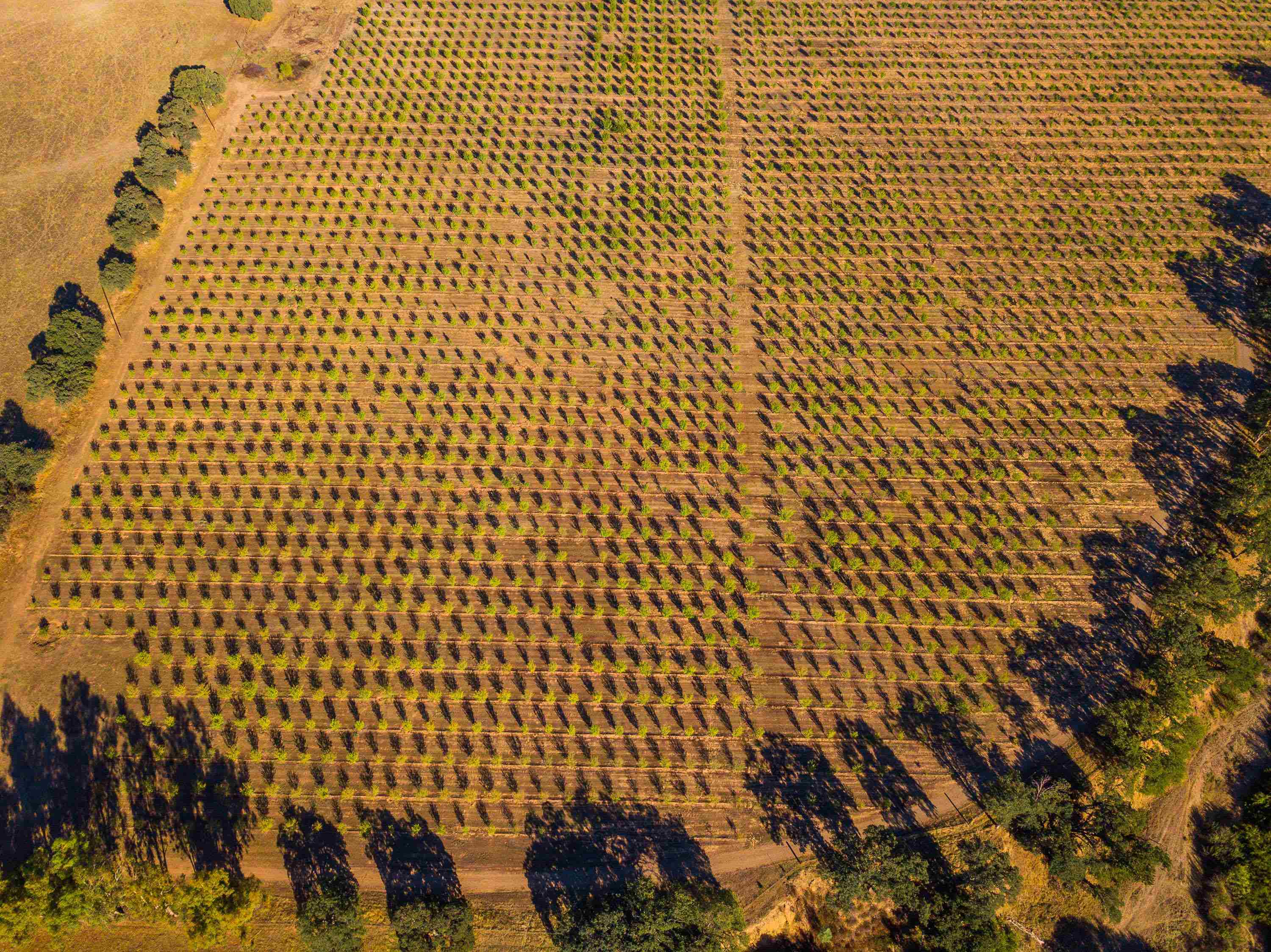 10370 Briggs Road Red Bluff, CA 96080 - Photo 2 of 14