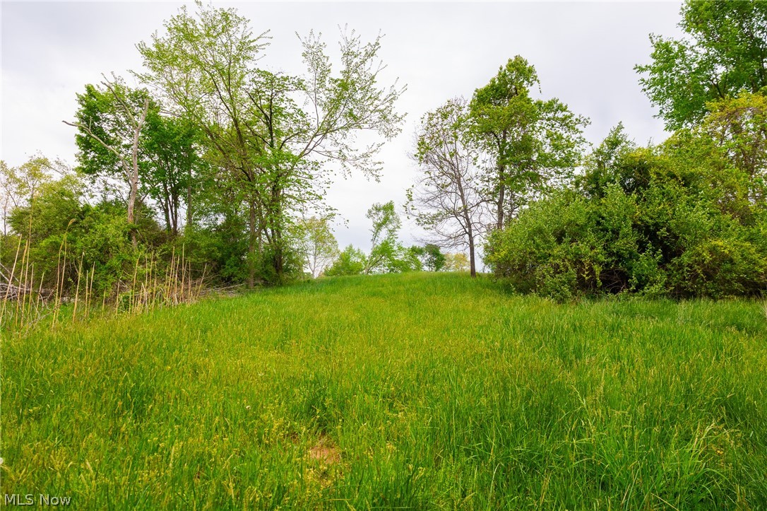 37795 Sheepskin Ridge Road Lower Salem, OH 45745 - Photo 11 of 31 Gallery Image 11