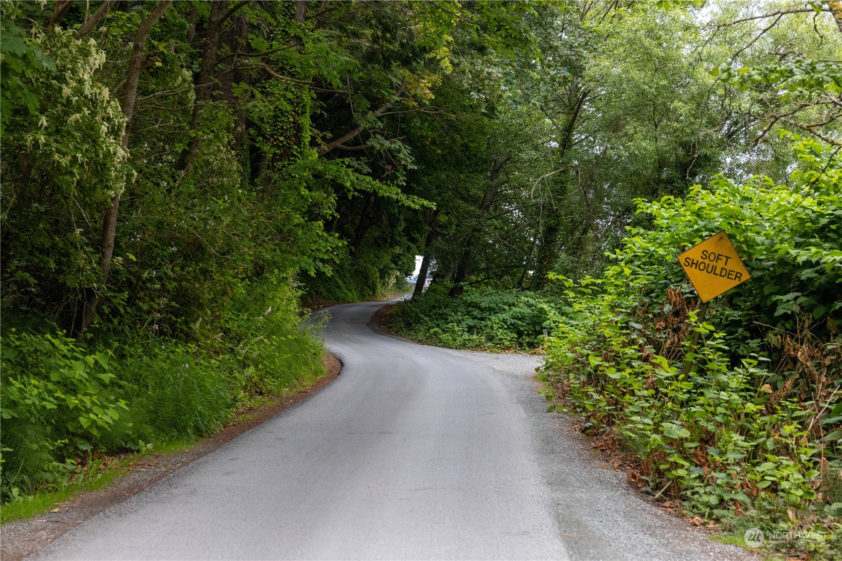 2190 Chuckanut Drive Bow, WA 98232 - Photo 12 of 29 a view of a garden with plants