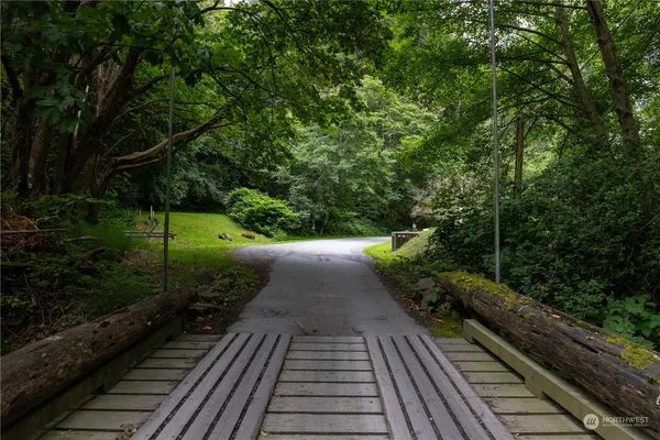 a view of forest