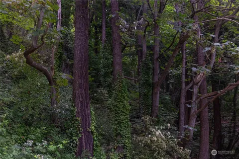 a view of a yard with plants and a trees
