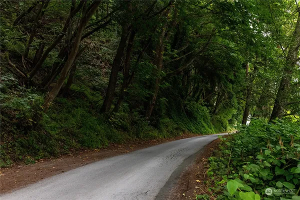 a view of forest