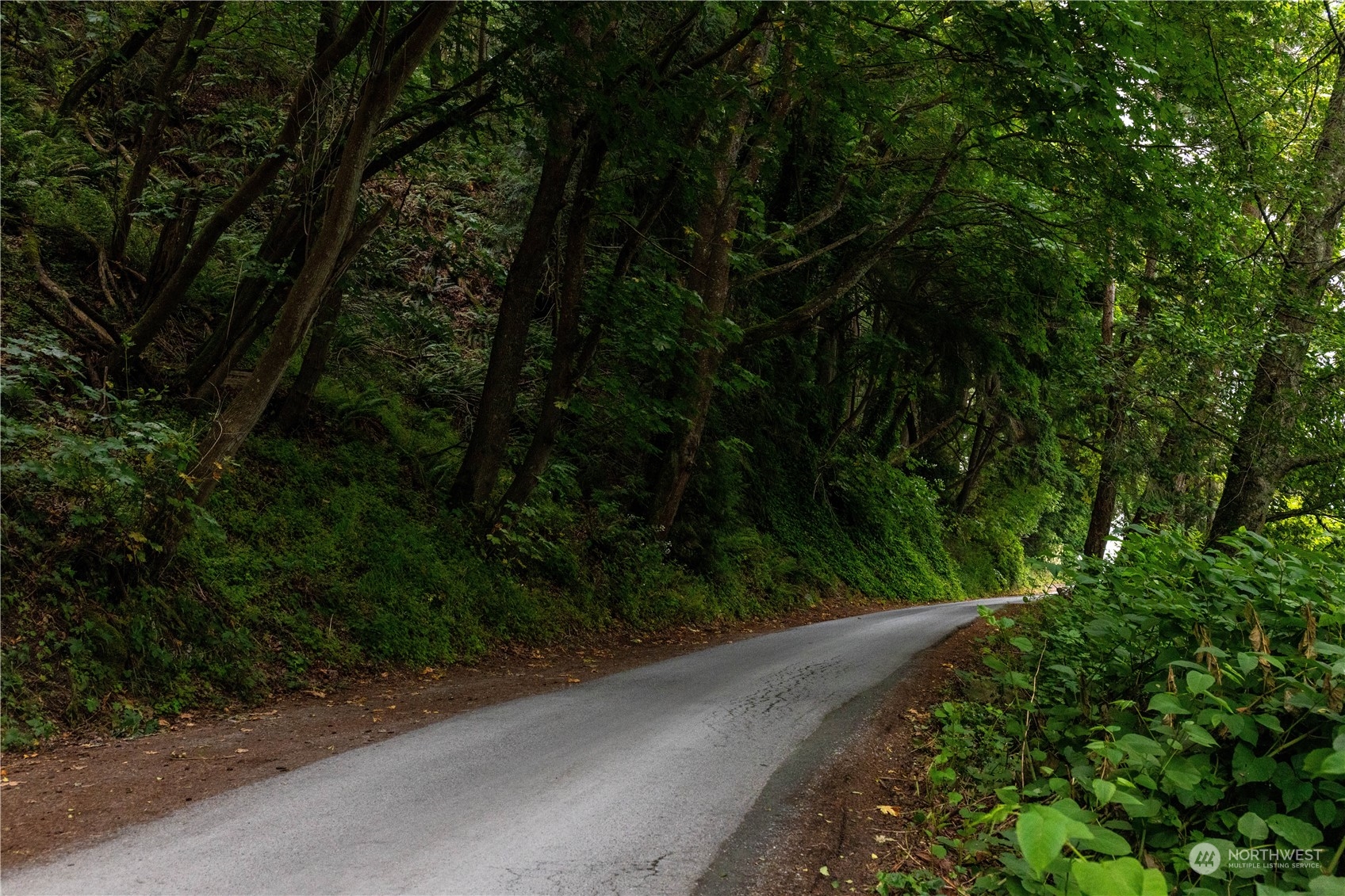 2190 Chuckanut Drive Bow, WA 98232 - Photo 15 of 29 a view of a yard with plants and a trees