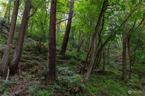 a view of a lake view