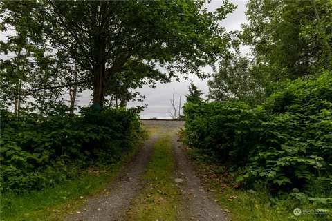 a view of a yard with plants and tree