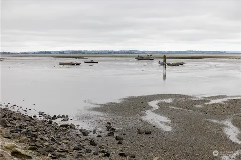 a view of a yard with a large trees