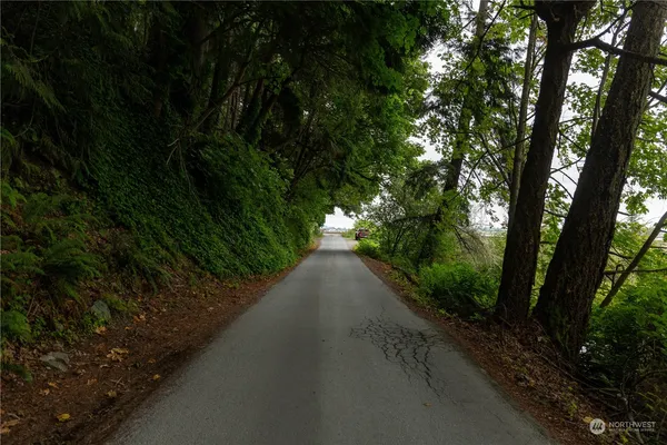a view of a green field with lots of trees