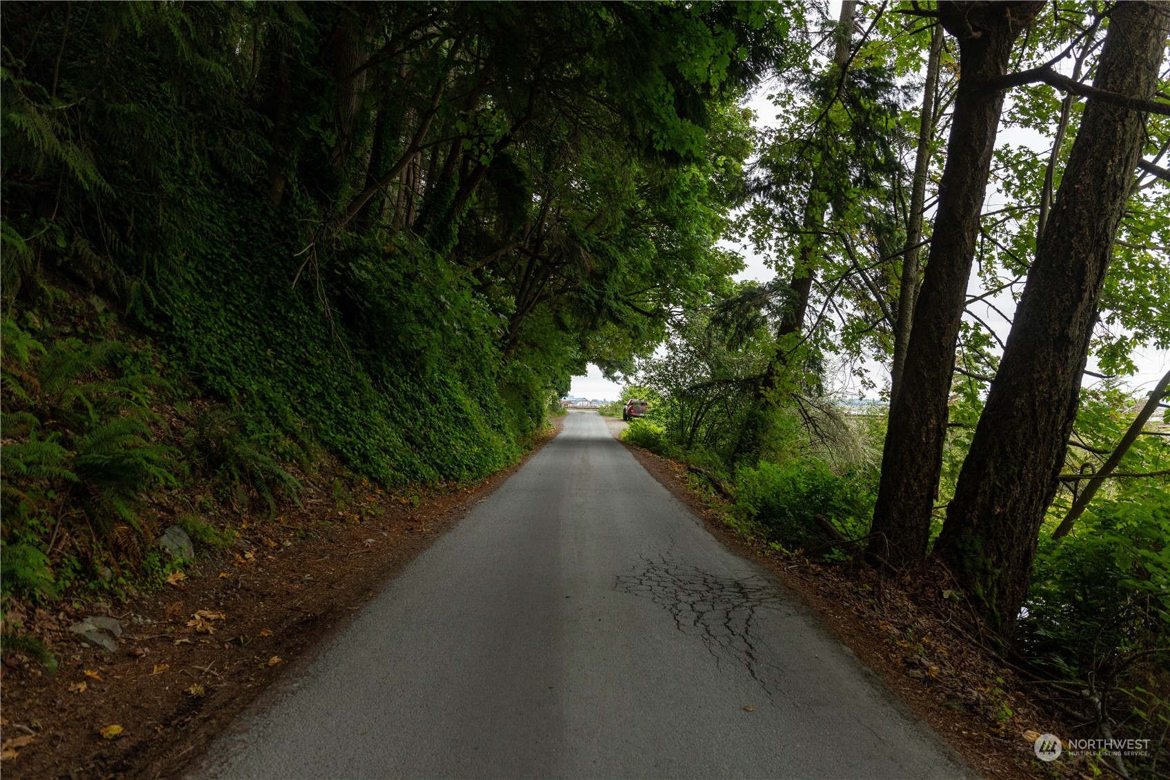 2190 Chuckanut Drive Bow, WA 98232 - Photo 22 of 29 a view of a city street from a forest
