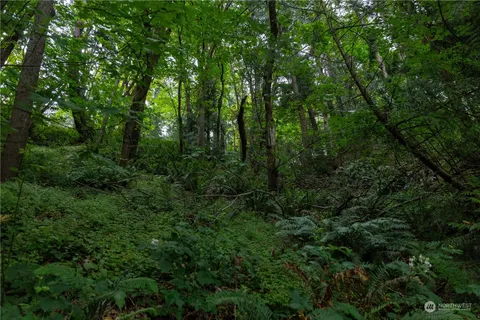 a view of a yard with plants and trees