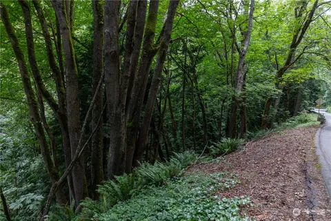 a view of a forest from a window